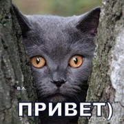 Черная Кошка on My World.