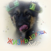 ЖИЗНЬ ХОРОША! группа в Моем Мире.