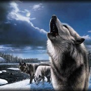 Clan WOLF группа в Моем Мире.