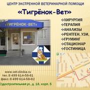 Ветеринарная клиника Тигрёнок-Вет группа в Моем Мире.