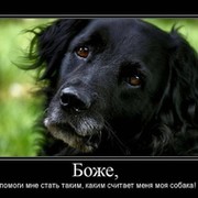 ZOOCHARITY | БУДЬ МИЛОСЕРДНЫМ К БРАТЬЯМ МЕНЬШИМ! группа в Моем Мире.