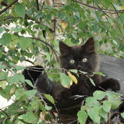 Анна Егорова on My World.