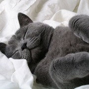 Евгений Фёдоров on My World.