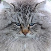 Наталья Сафьянова on My World.