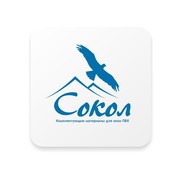 Почта сокол кирова 17. Сокол Омский. Почта Сокол. Компания Сокол. Сокол компания Москва.