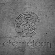 Chameleon Design on My World.