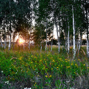 Алексей Шлыков on My World.