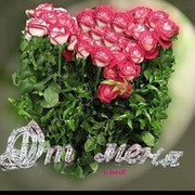 dametken amirova on My World.