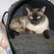 Анна Максимова on My World.