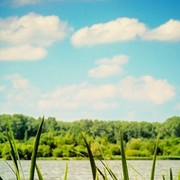 Анжела Коваль on My World.