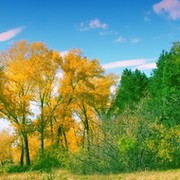 БЕЙБИТ КУСАНБАЕВ on My World.