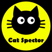 Cat Spector on My World.