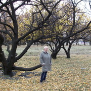 svetlana evdokimova on My World.