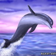 Dolphin Sea on My World.