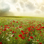 Фаина Кубанцева on My World.