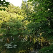 Светлана Арефьева on My World.