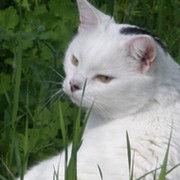 Галина Галина on My World.