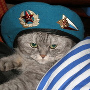 Сергей Голенищев on My World.