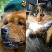 Oleg MSSR on My World.