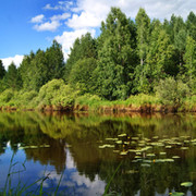 Ильсия Ильясовна Фазульянова (Шайхутдинова) on My World.
