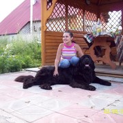 Ирина Гартунг on My World.