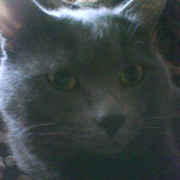 Макс * on My World.