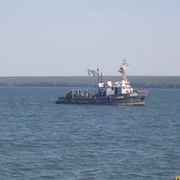 Александр Александрович on My World.
