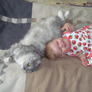 Олег молоков on My World.