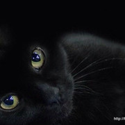 Ангелина Котова  on My World.