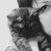 Кошка - 2 шт. on My World.