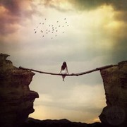 Шумкова Елена on My World.