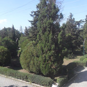 Владимир Остаховский on My World.