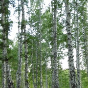 Михаил Геннадьевичь on My World.