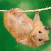 Михаил Котенко on My World.