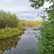 Александр Романов on My World.