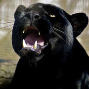 Марина Самурай on My World.