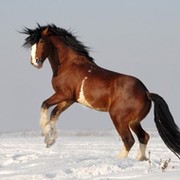 Sergey Morozov on My World.
