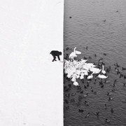 Sona Vardanyan on My World.