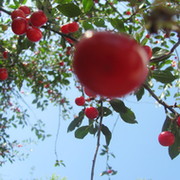 Татьяна Кириллова on My World.