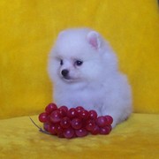 таня матвеева on My World.