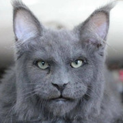 Сергей Шарапов on My World.