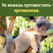Сергей М on My World.