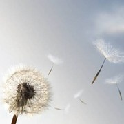 Вадим Юсупов on My World.