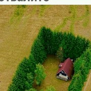 Андрей Вахидов on My World.