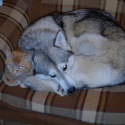 Виктор Чигоев on My World.