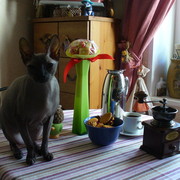 Ирина Волкова on My World.