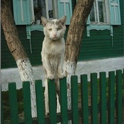 Дормидонт Евлампьич*KL* on My World.
