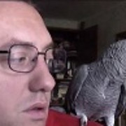 Попугай Григорий on My World.