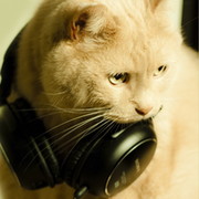 тюряга 950т750кк fdf on My World.